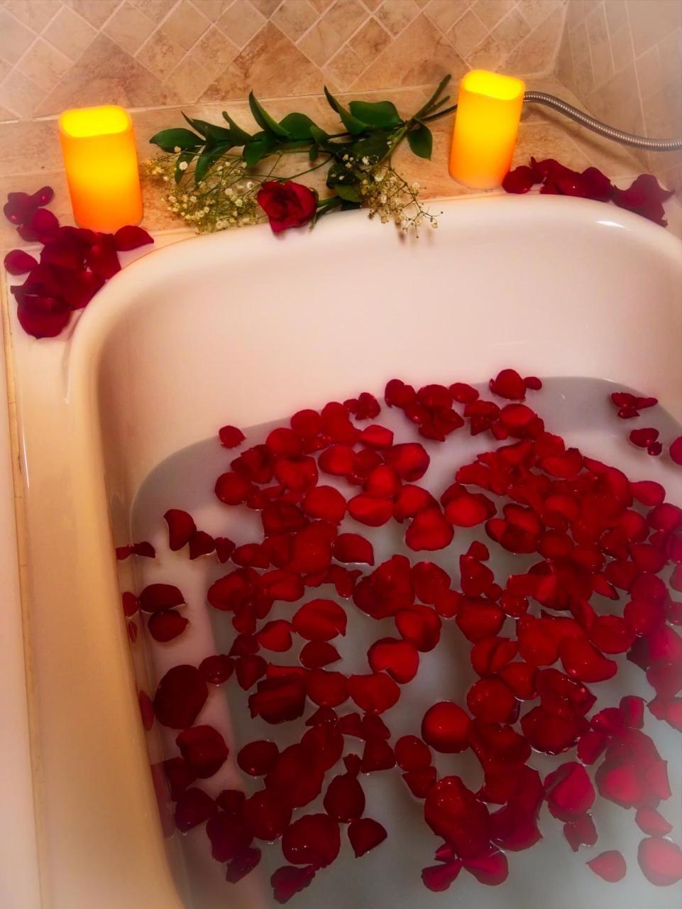 The Lion And The Rose Bed And Breakfast 阿什维尔 外观 照片